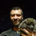  ,   , 36 ,   ,   , 
