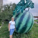  ,   , 58 ,     , c 