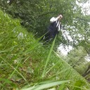  -,   , 33 ,   ,   , c 