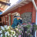 ���������� �����������, ���� ������� �������, 72 ����, ������������ ��� ������, ���������