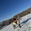 ���������� ������, ���� ����� �������, 25 ���, ������������ ��� ������, ����� � ���������