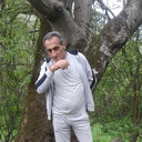  ,   RAFAEL, 56 ,   ,   , c 