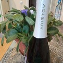 ���������� ������, ���� ������� �����, 32 ����, ������������ ��� ������, ����� � ���������