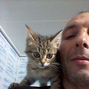  ,   , 46 ,   