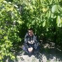 ���������� ������������, ���� ������� ������, 31 ���, ������������ ��� ����� � ���������, c�������� ���������, ���������