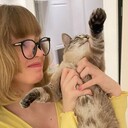 ���������� �����-���������, ���� ������� ����, 26 ���, ������������ ��� ������, ����� � ���������, c�������� ���������