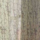  ,   , 35 ,   c 