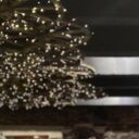 ���������� ����������, ���� ������� �������, 44 ����, ������������ ��� ������, ����� � ���������