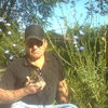  ,   Getgehod, 68 ,   ,   , c 