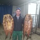 ���������� ���������, ���� ������� �����, 42 ����, ������������ ��� ������, ����� � ���������, c�������� ���������, ���������