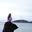 ���������� ����������, ���� ������� �������, 50 ���, ������������ ��� c�������� ���������