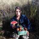  ,   , 43 ,   ,   , 