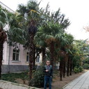 ���������� �����������, ���� ������� ������, 36 ���, ������������ ��� ������, ����� � ���������, c�������� ���������