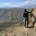 ���������� ������������, ���� ����� �������, 24 ����, ������������ ��� ������, ����� � ���������, c�������� ���������