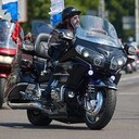 ���������� ������, ���� ������� Shama, 59 ���, ������������ ��� ������, ����� � ���������, c�������� ���������, ���������