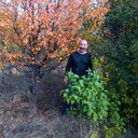 ���������� ������������, ���� ������� ���������, 49 ���, ������������ ��� ������, ����� � ���������, c�������� ���������, ���������