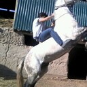 ���������� ���������, ���� ������� �����, 35 ���, ������������ ��� ������, ����� � ���������, c�������� ���������, ���������