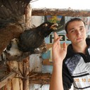 ���������� �����, ���� ������� ���������, 36 ���, ������������ ��� ������, ����� � ���������, c�������� ���������