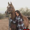 ���������� ����, ���� ������� ������, 44 ����, ������������ ��� c�������� ���������, ���������