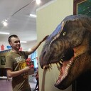 ���������� �������, ���� ������� �������, 33 ����, ������������ ��� ������, ���������