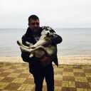 ���������� ������ ��������, ���� ������� ������, 47 ���, ������������ ��� ����� � ���������, c�������� ���������