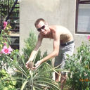  ,   , 44 ,   