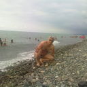  ,   , 49 ,   