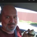 ���������� ������, ���� ������� �������, 55 ���, ������������ ��� c�������� ���������