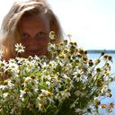 ���������� �����, ���� ������� ��������, 29 ���, ������������ ��� ������, ����� � ���������, c�������� ���������