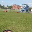 ���������� �����-���������, ���� ������� ����, 44 ����, ������������ ��� ������, ����� � ���������, c�������� ���������