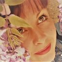 ���������� �����������, ���� ������� ���������, 43 ����, ������������ ��� ������, ����� � ���������, c�������� ���������