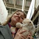 ���������� ���������, ���� ������� ������, 41 ���, ������������ ��� c�������� ���������