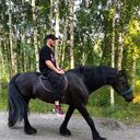  ,   , 32 ,     , c , 