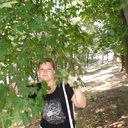 ���������� ������, ���� ������� �����, 46 ���, ������������ ��� ������, ����� � ���������, c�������� ���������