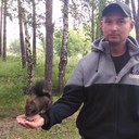 ���������� �������, ���� ������� ���������, 36 ���, ������������ ��� ������, ����� � ���������, c�������� ���������