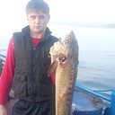 ���������� ����������, ���� ������� ������, 33 ����, ������������ ��� ����� � ���������, c�������� ���������