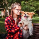 ���������� ������, ���� ������� ������, 23 ����, ������������ ��� c�������� ���������, ���������