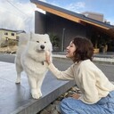 ���������� Kwangju, ���� ������� ���, 26 ���, ������������ ��� ������, ����� � ���������, ���������