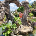 ���������� �������, ���� ������� ������, 63 ����, ������������ ��� ������, ����� � ���������