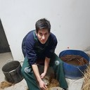  ,   , 37 ,   ,   , c 