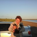 ���������� ��������, ���� ������� ����, 53 ����, ������������ ��� ������