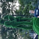 ���������� ���������, ���� ������� �����, 31 ���, ������������ ��� ������, ����� � ���������