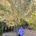 ���������� ���������, ���� ������� ������, 53 ����, ������������ ��� ������, ����� � ���������, c�������� ���������, ���������