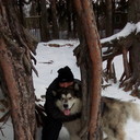 ���������� �����-���������, ���� ������� ������, 51 ���, ������������ ��� ������, ����� � ���������, c�������� ���������