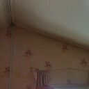 ���������� ���������, ���� ������� �������, 48 ���, ������������ ��� ����� � ���������, c�������� ���������, ���������