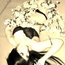 ���������� ��������, ���� ������� ������, 31 ���, ������������ ��� ���������