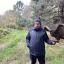 ���������� �����-���������, ���� ������� ����, 33 ����, ������������ ��� ������, ����� � ���������, c�������� ���������