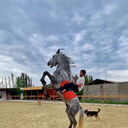 ���������� �������, ���� ������� �����, 30 ���, ������������ ��� ������, ����� � ���������