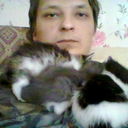  ,   , 36 ,   ,   , c , 