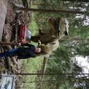 ���������� ����, ���� ������� ����, 54 ����, ������������ ��� ������, ����� � ���������, ���������